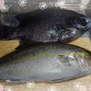 ヒメ日記 2024/12/31 17:36 投稿 ゆきな Ange(長崎)