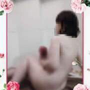 ヒメ日記 2025/03/29 06:51 投稿 理沙 セクシーキャット 神田店