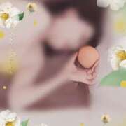 ヒメ日記 2025/04/11 21:20 投稿 理沙 セクシーキャット 神田店