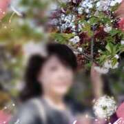 ヒメ日記 2025/04/17 06:27 投稿 理沙 セクシーキャット 神田店