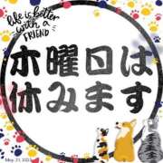 ヒメ日記 2025/05/21 23:24 投稿 理沙 セクシーキャット 神田店