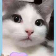 ヒメ日記 2025/09/13 06:49 投稿 理沙 セクシーキャット 神田店