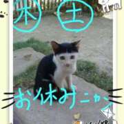 ヒメ日記 2026/01/22 07:54 投稿 理沙 セクシーキャット 神田店