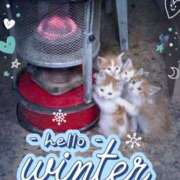 ヒメ日記 2026/02/07 09:58 投稿 理沙 セクシーキャット 神田店