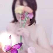 ヒメ日記 2026/02/12 06:35 投稿 理沙 セクシーキャット 神田店