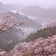 ヒメ日記 2026/03/26 06:24 投稿 理沙 セクシーキャット 神田店