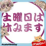 ヒメ日記 2026/04/03 22:17 投稿 理沙 セクシーキャット 神田店