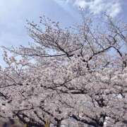 ヒメ日記 2025/04/10 17:34 投稿 渚（なぎさ） Shiny