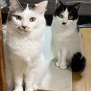 ヒメ日記 2025/03/21 14:45 投稿 えれな 甲府人妻隊