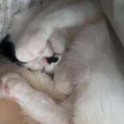 ヒメ日記 2025/05/26 16:43 投稿 えれな 甲府人妻隊