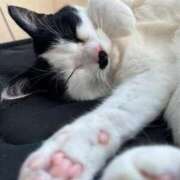 ヒメ日記 2026/02/22 14:04 投稿 えれな 甲府人妻隊