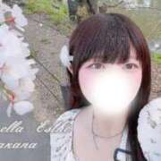 ヒメ日記 2026/02/24 14:01 投稿 若菜(わかな) シンデレラエステ