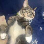 ヒメ日記 2026/03/07 15:09 投稿 ゆうな 素人妻御奉仕倶楽部Hip's松戸店