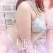 ヒメ日記 2025/01/17 13:00 投稿 石塚 りこ こあくまな熟女たち 本厚木店(KOAKUMAグループ)