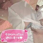 ヒメ日記 2026/05/30 12:58 投稿 りあん ポニーテール和歌山店