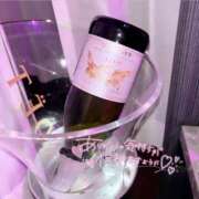 ヒメ日記 2025/04/05 23:58 投稿 つむぎ パイレーツ