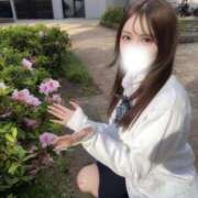 ヒメ日記 2025/05/26 12:03 投稿 桜みみこ JKリフレ東京 秋葉原本店