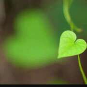 ヒメ日記 2026/01/07 09:18 投稿 天海あこ 福井性感回春アロマSpa