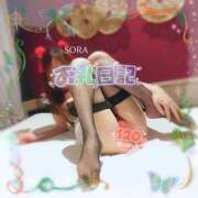 ヒメ日記 2024/12/14 15:18 投稿 結城そら 福井性感回春アロマSpa