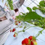 ヒメ日記 2025/03/20 19:26 投稿 じゅな デリヘル東京