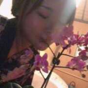 ヒメ日記 2025/04/02 23:28 投稿 じゅな デリヘル東京