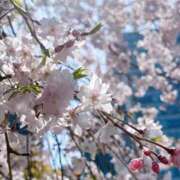 ヒメ日記 2025/04/07 18:17 投稿 じゅな デリヘル東京