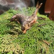 ヒメ日記 2025/07/30 02:00 投稿 じゅな デリヘル東京