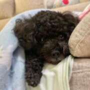 ヒメ日記 2024/12/12 12:00 投稿 れな みせいじゅく