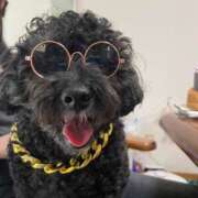 ヒメ日記 2025/03/08 18:15 投稿 れな みせいじゅく