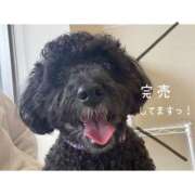 ヒメ日記 2025/04/01 11:00 投稿 れな みせいじゅく