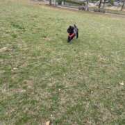 ヒメ日記 2025/04/21 18:45 投稿 れな みせいじゅく