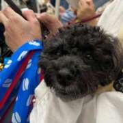 ヒメ日記 2025/05/13 18:02 投稿 れな みせいじゅく