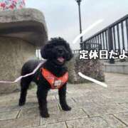 ヒメ日記 2025/05/29 12:02 投稿 れな みせいじゅく