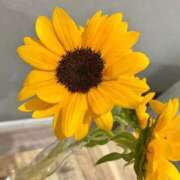 ヒメ日記 2025/06/23 18:45 投稿 れな みせいじゅく