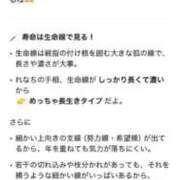 ヒメ日記 2025/07/03 20:30 投稿 れな みせいじゅく