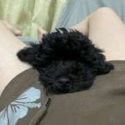 ヒメ日記 2025/07/27 22:00 投稿 れな みせいじゅく