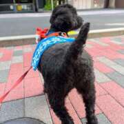 ヒメ日記 2025/08/01 19:45 投稿 れな みせいじゅく