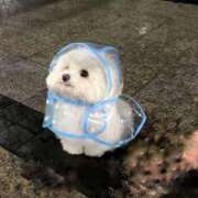 ヒメ日記 2025/01/27 22:57 投稿 相原　さな NADIA京都店