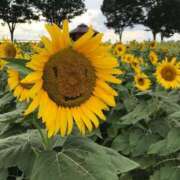 ヒメ日記 2025/08/01 00:04 投稿 相原　さな NADIA京都店