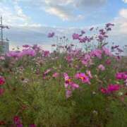 ヒメ日記 2025/11/01 09:39 投稿 相原　さな NADIA京都店