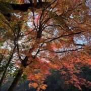 ヒメ日記 2025/12/02 20:02 投稿 相原　さな NADIA京都店