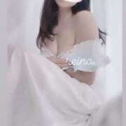 ヒメ日記 2025/11/02 10:08 投稿 れいな VIVIDCREWマダムセカンドバージン 梅田店