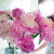 ヒメ日記 2026/04/10 15:20 投稿 れいな VIVIDCREWマダムセカンドバージン 梅田店