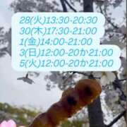 ヒメ日記 2026/04/26 01:02 投稿 れいな VIVIDCREWマダムセカンドバージン 梅田店