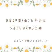 ヒメ日記 2026/05/18 13:09 投稿 れいな VIVIDCREWマダムセカンドバージン 梅田店