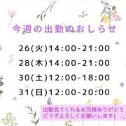 ヒメ日記 2026/05/26 00:24 投稿 れいな VIVIDCREWマダムセカンドバージン 梅田店