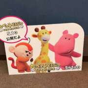 ヒメ日記 2025/06/12 00:53 投稿 みらい 千葉人妻花壇