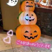 みらい 🎃🦇 千葉人妻花壇