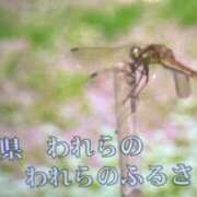 ヒメ日記 2023/11/11 12:56 投稿 まこと マリアージュ宇都宮