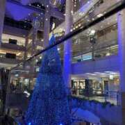 ヒメ日記 2024/12/14 19:50 投稿 ことね My Essentials